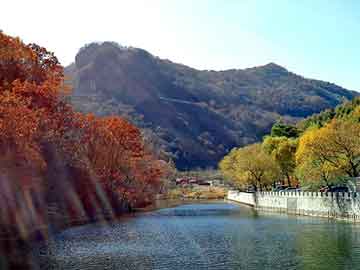 新澳天天开好彩资料大全，水洗高岭土价格